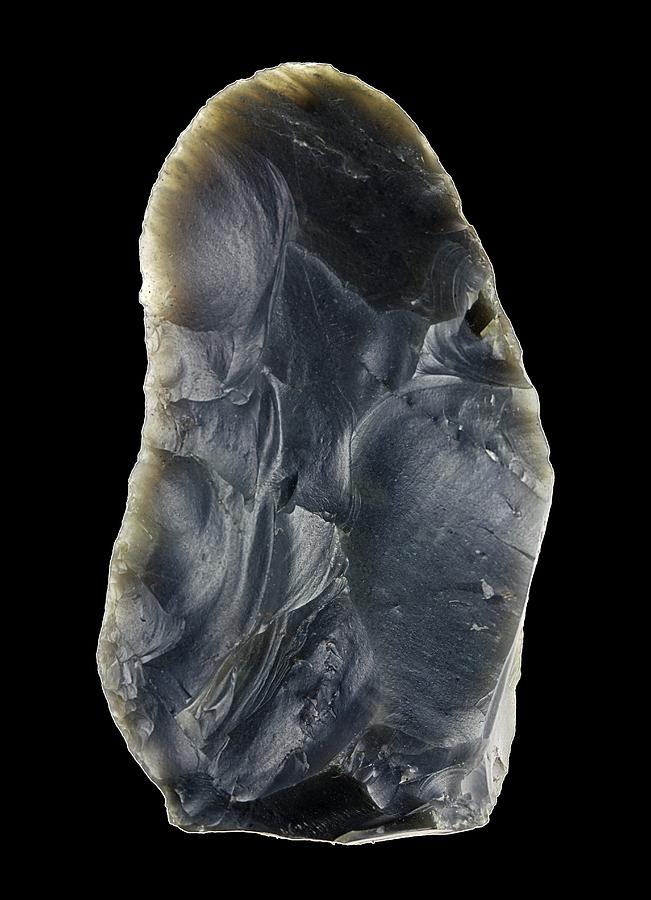 Stone Age Hand Axe Photograph by Alfred Pasieka