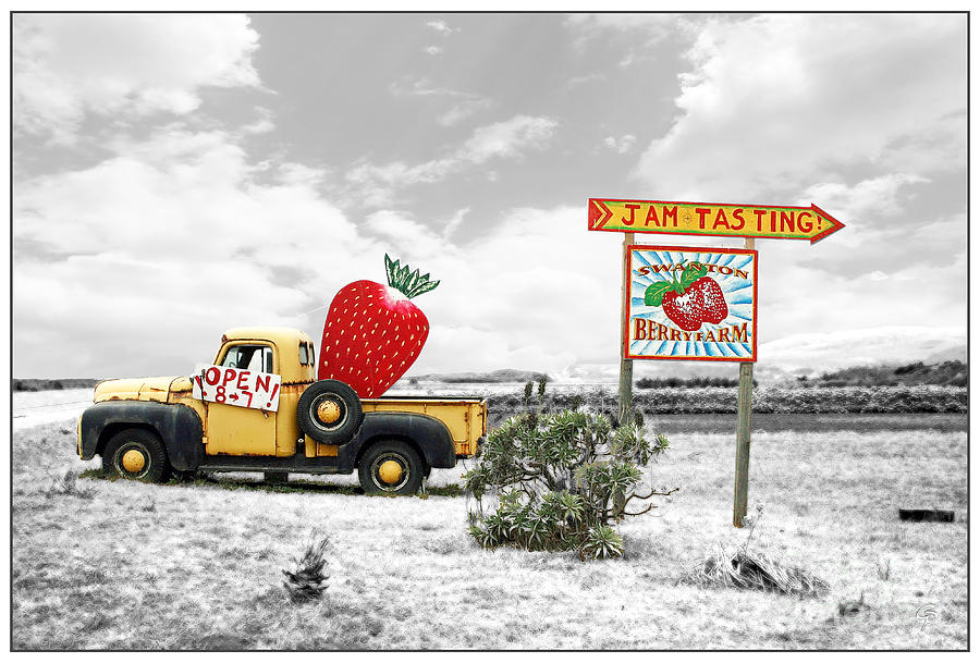 Strawberry Fields Forever Photograph by Gabriele Pomykaj