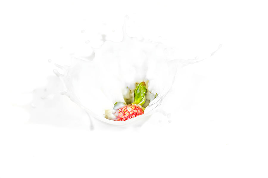 Strawberry in Milk #2 Photograph by Peter Lakomy