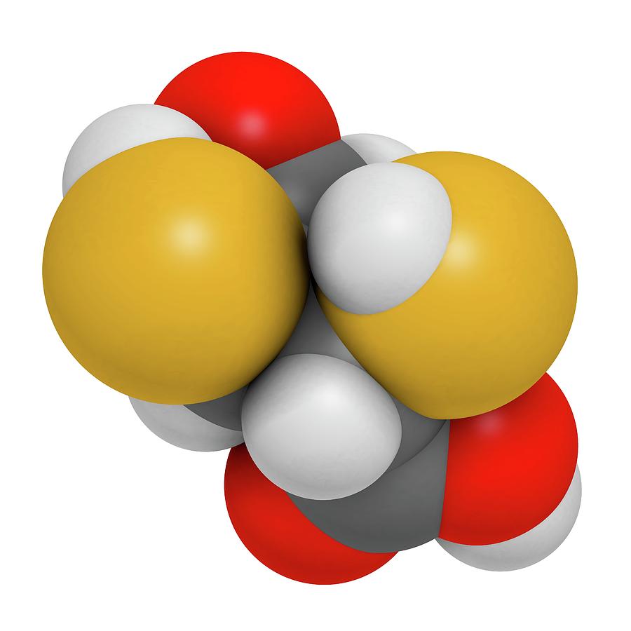 Succimer Acid Molecule #2 Photograph by Molekuul