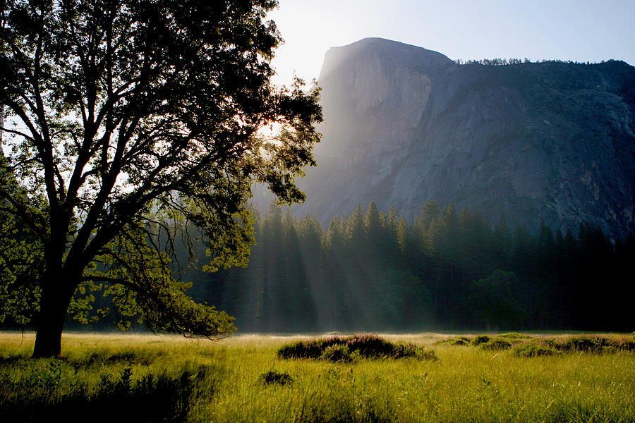 Yosemite National Park Photograph - Summer Sunrise In Yosemite Valley #2 by Her Arts Desire