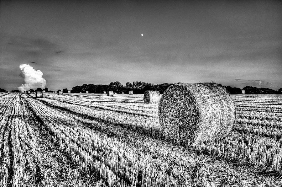 Summers evening farm #2 Photograph by David Pyatt