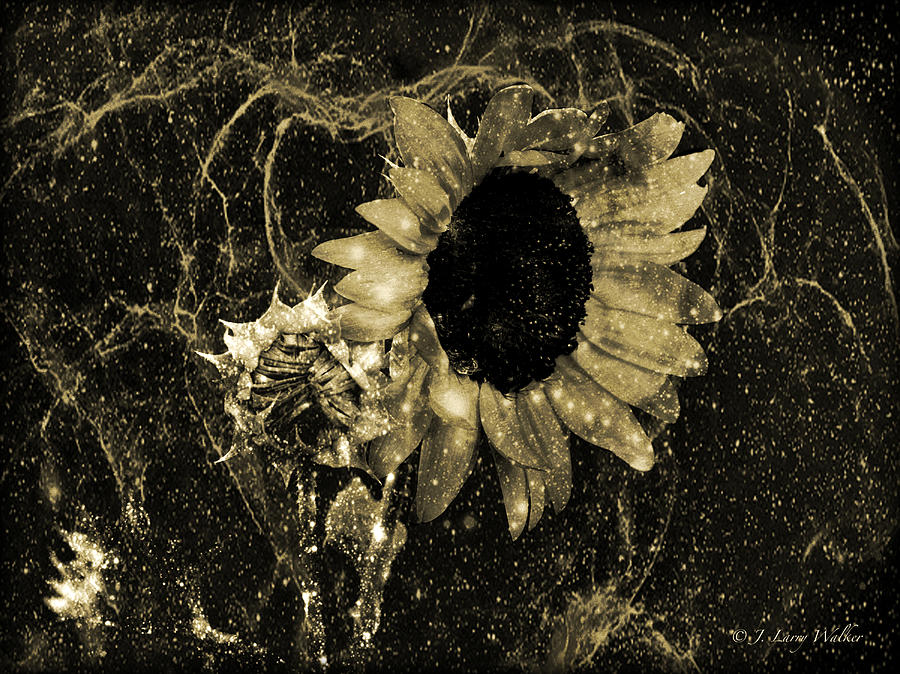 Sunflower Abstract  #2 Digital Art by J Larry Walker