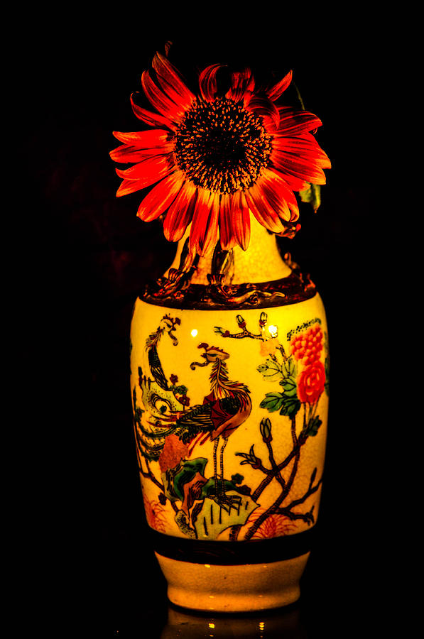 Sunflower #5 Photograph by Gerald Kloss