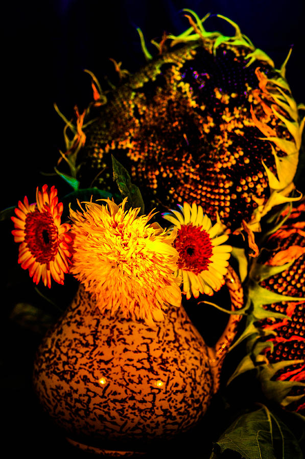 Sunflowers  #2 Photograph by Gerald Kloss