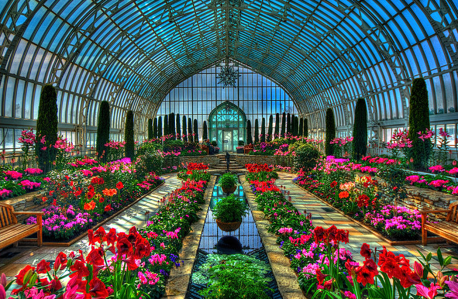 Flower Photograph - Sunken Garden Como Conservatory #3 by Amanda Stadther