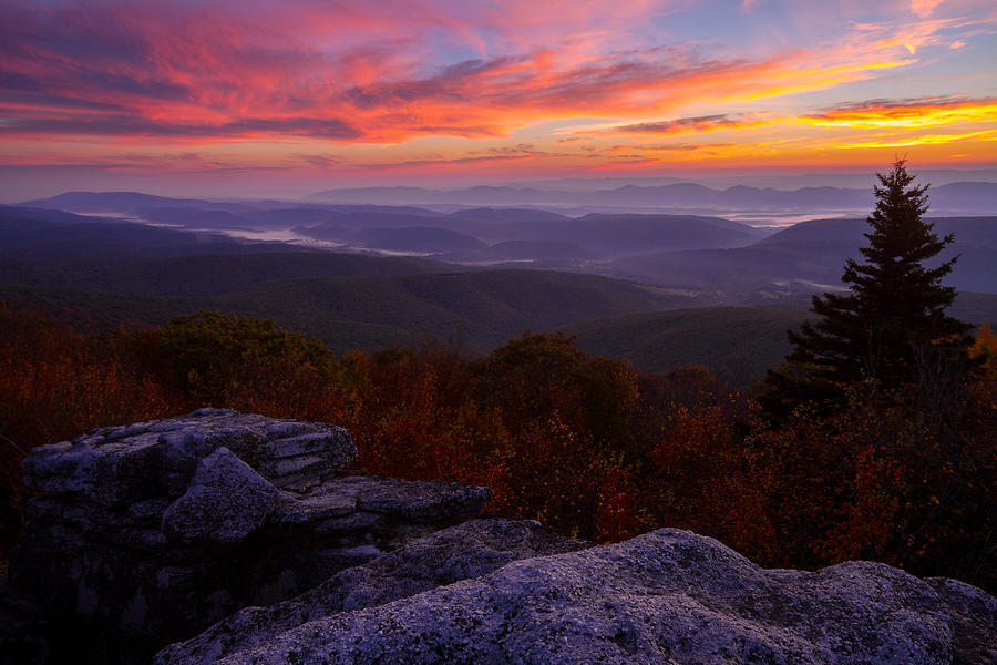 Sunrise at Dolly Sods in West Virginia #2 Photograph by Jetson Nguyen