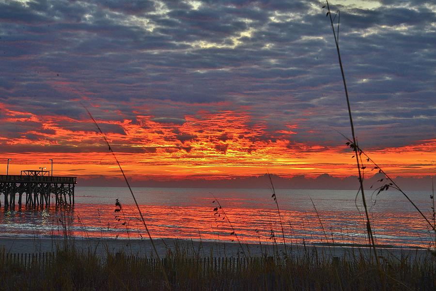 Sunrise #2 Photograph by Bill Hosford