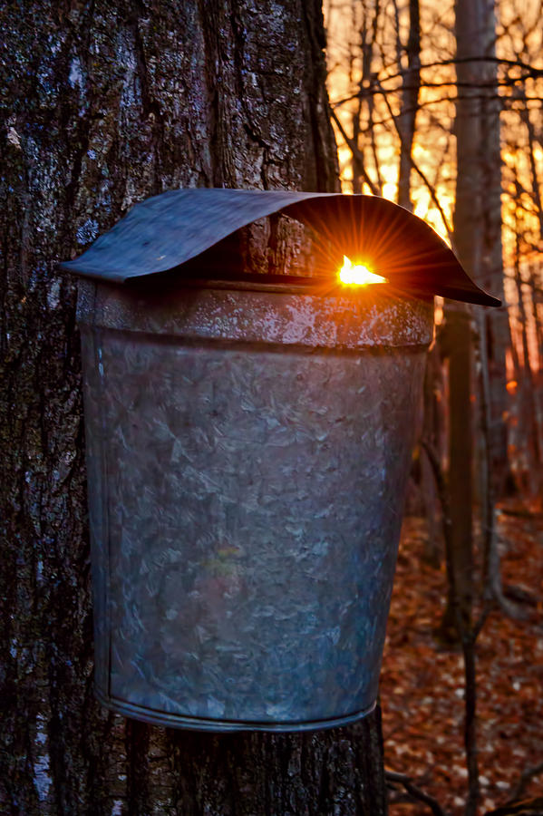 Sunrise in Vermont #2 Photograph by Jim Boardman