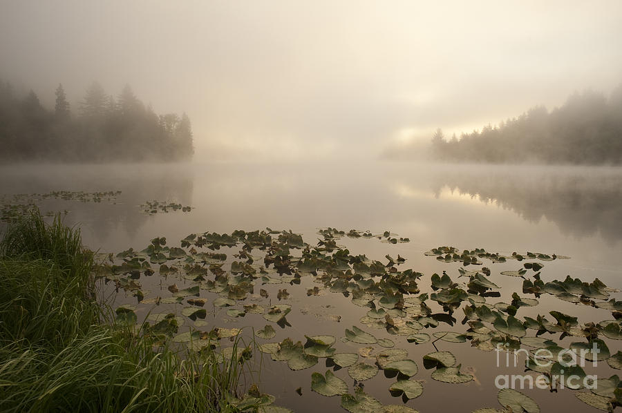 Sunrise lake in fog with trees shrouded in mist  #2 Photograph by Jim Corwin