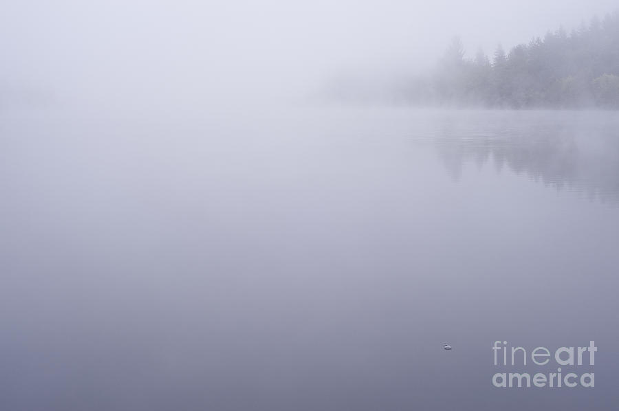 Sunrise on lake in fog with trees shrouded in mist  #2 Photograph by Jim Corwin