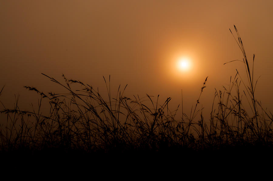 Sunrise over the misty forest. Photograph by Chaiyaphong Kitphaephaisan ...