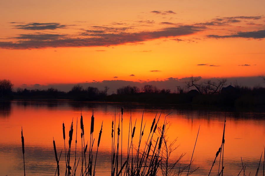 Sunset Photograph by Dave Smith - Fine Art America