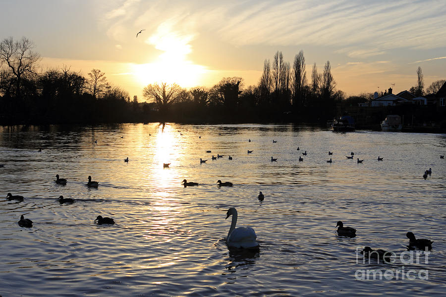 Sunset on the Thames at Walton #4 Photograph by Julia Gavin