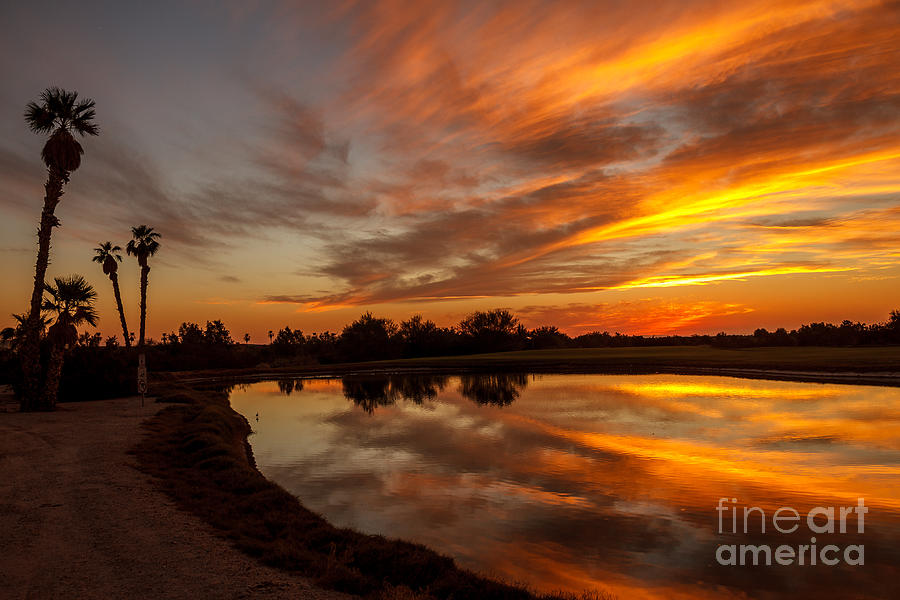 Sunset Photograph - Sunset Reflections #1 by Robert Bales
