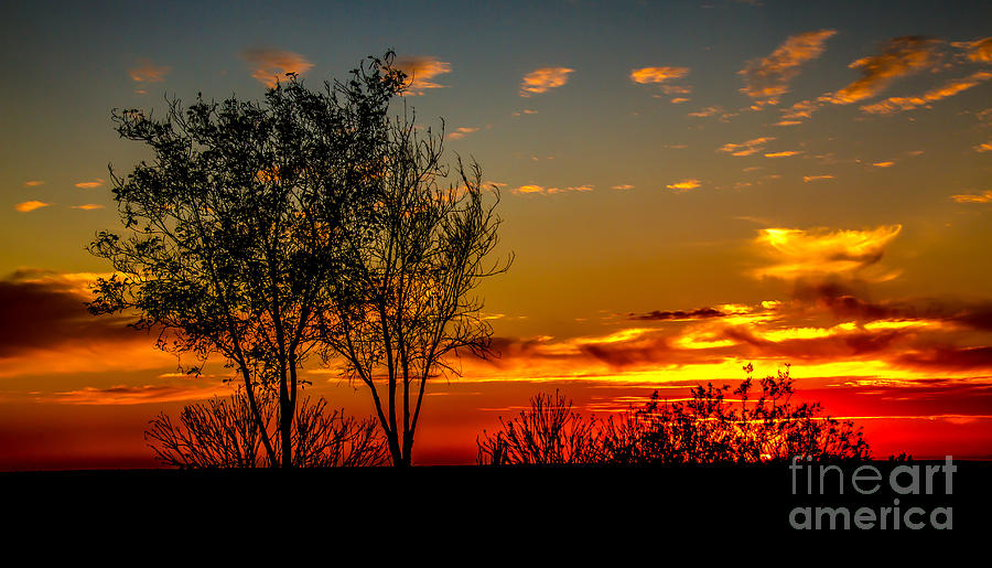 Sunset  #2 Photograph by Robert Bales