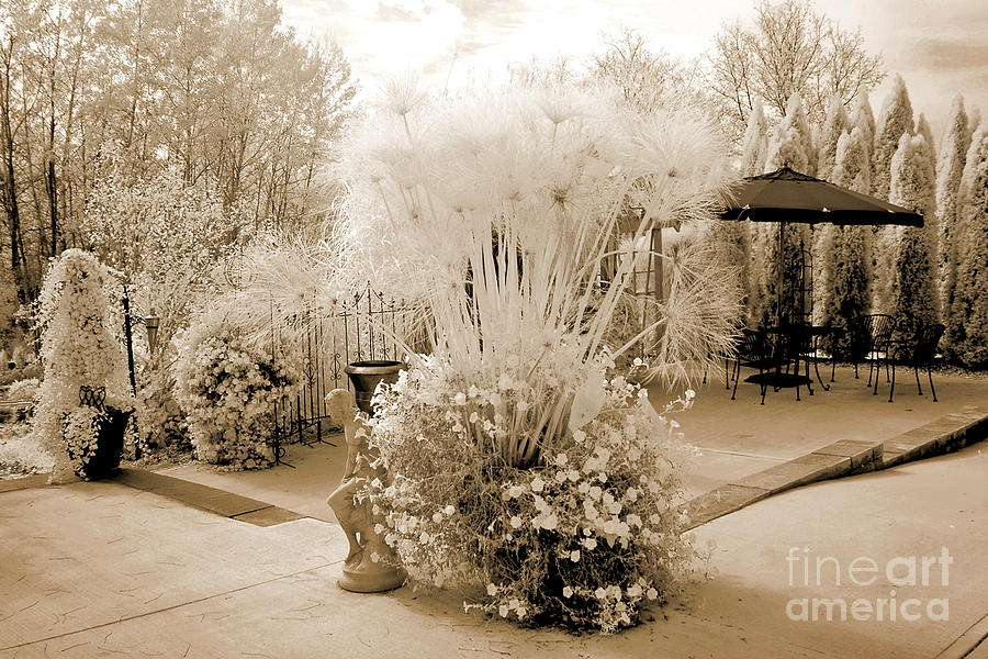Surreal Ethereal Infrared Sepia Nature Landscape  #2 Photograph by Kathy Fornal