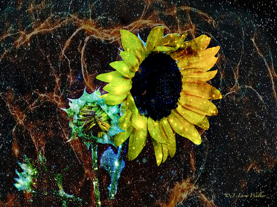 Surrealistic Sunflower #2 Digital Art by J Larry Walker
