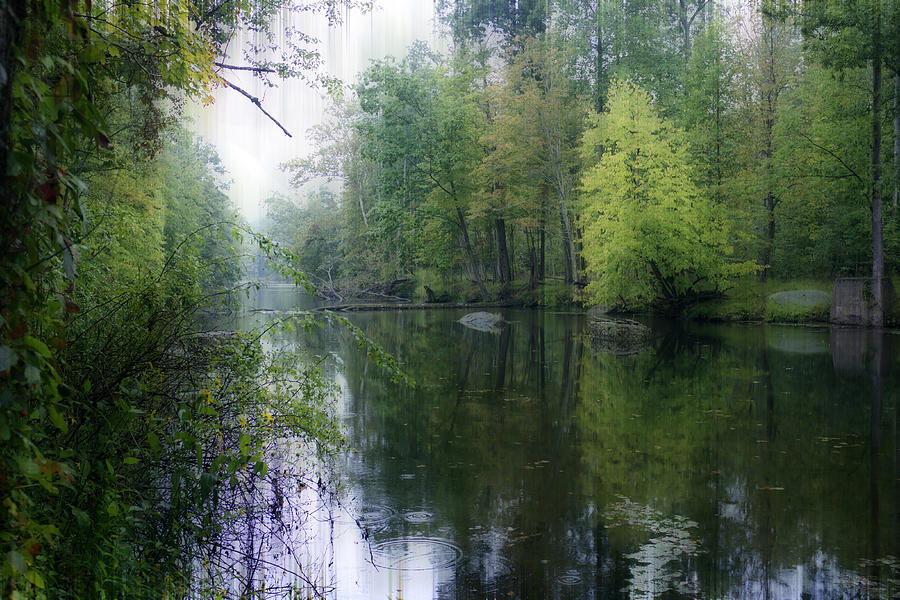 Swamp Creek Photograph by Hugh Smith - Fine Art America