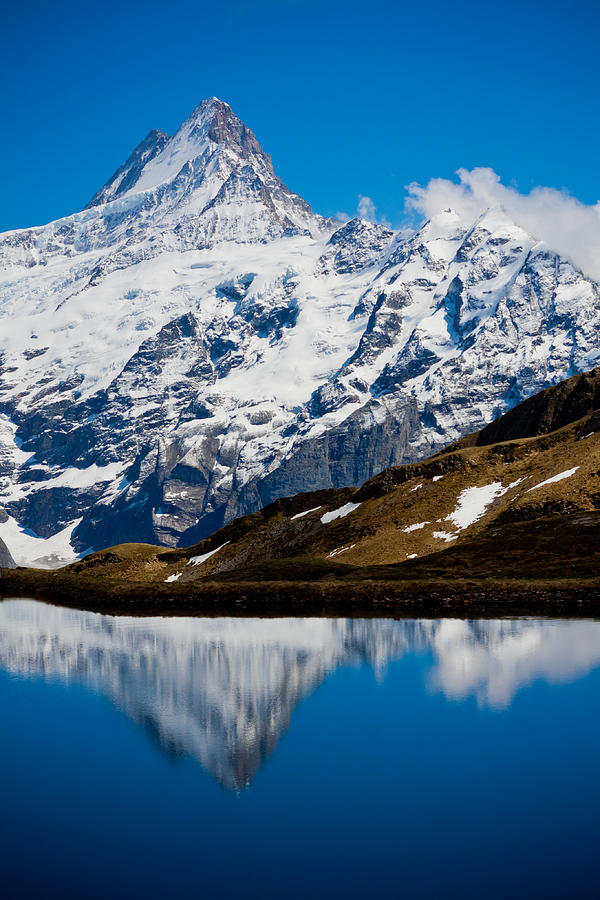 Swiss Alps - Schreckhorn Reflection #2 Photograph by Anthony Doudt