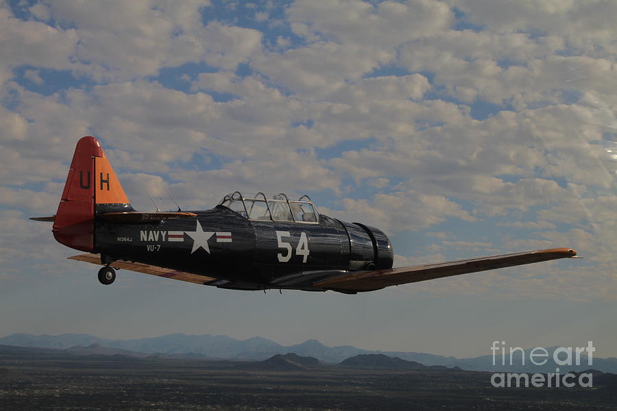 T-6 Texan #2 Photograph by Terry Shelton