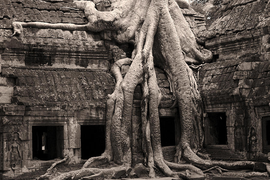 Architecture Photograph - Ta Prohm Temple in Cambodia #3 by Artur Bogacki