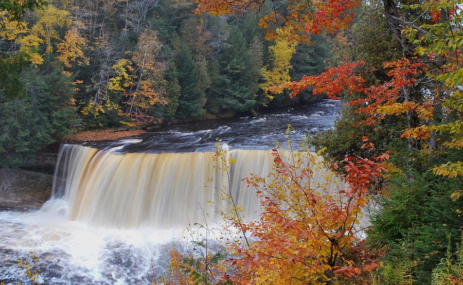 Tahquamenon Falls Photograph by Laurie Gordon - Fine Art America