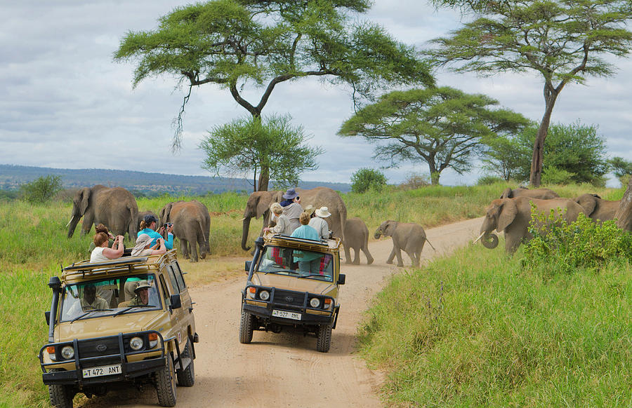 Tanzania, Tarangire National Park Photograph by Bill Bachmann - Fine ...