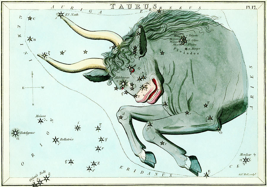 Taurus Constellation #2 Photograph by Royal Astronomical Society/science Photo Library