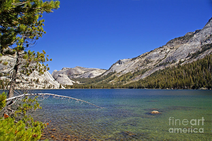 Yosemite National Park Photograph - Tenaya Lake #2 by Rod Jones