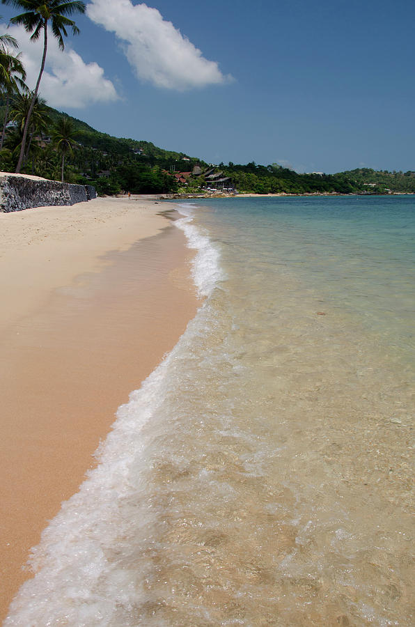 Thailand, Island Of Ko Samui (aka Koh Photograph by Cindy Miller ...