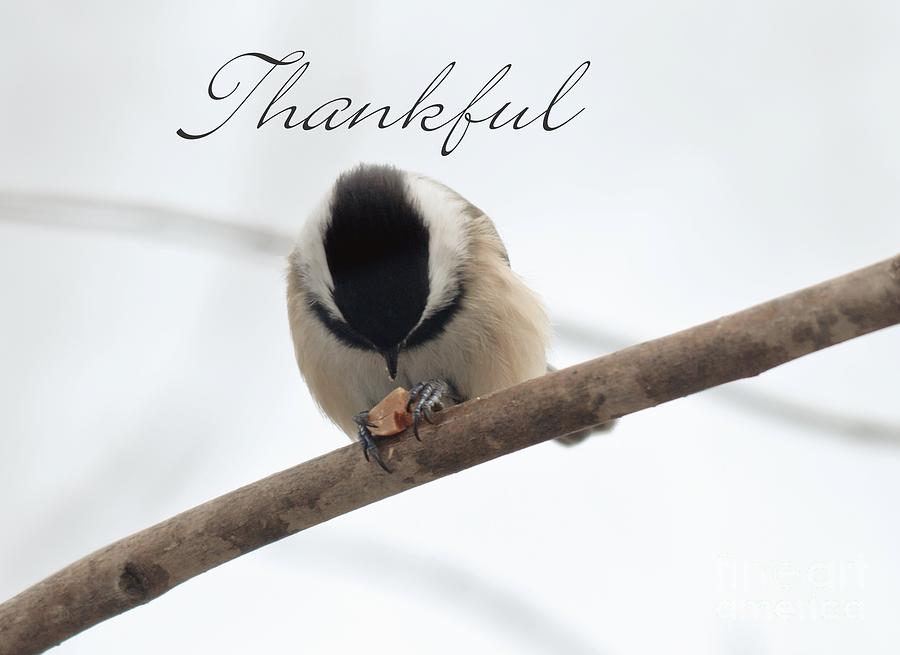 Thankful #2 Photograph by Cheryl Baxter