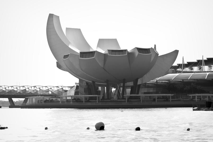 Artscience Museum Photograph - The ArtScience museum in Singapore #2 by Ashish Agarwal