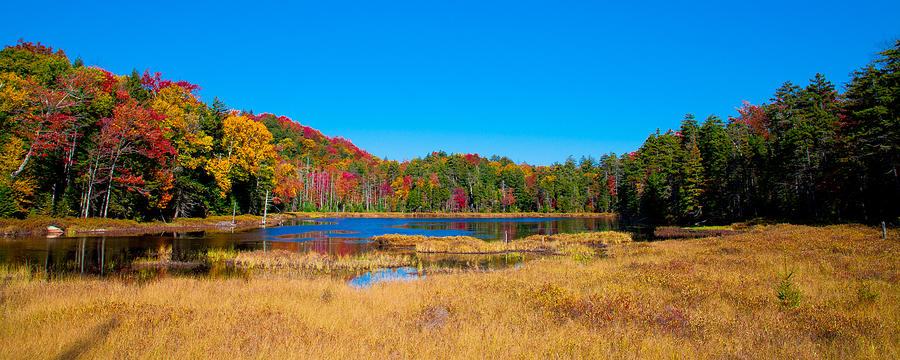 Fall Photograph - The Beautiful Fly Pond #2 by David Patterson