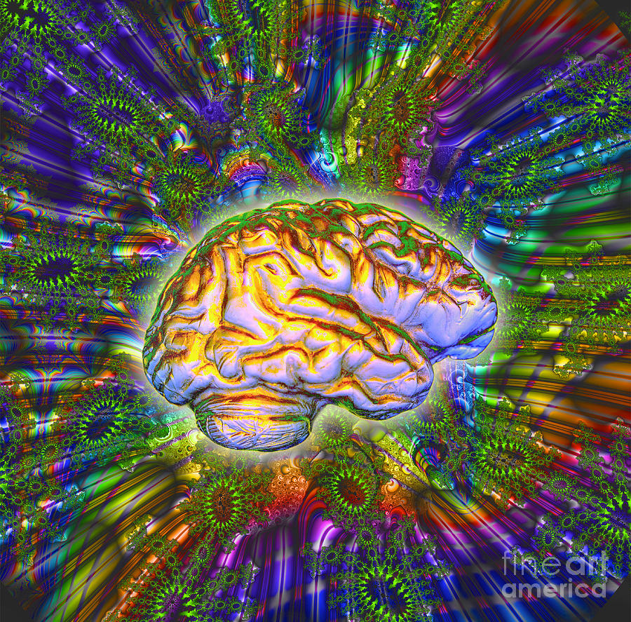The Brain #2 Photograph by Dennis D. Potokar