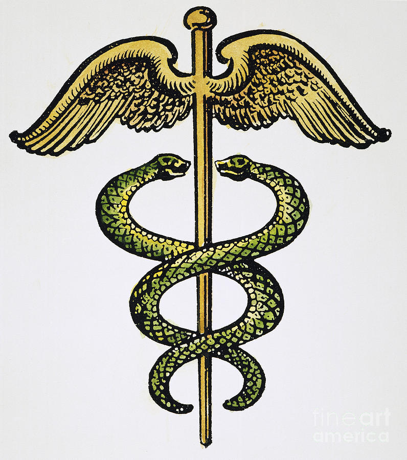 The Caduceus Photograph by Granger