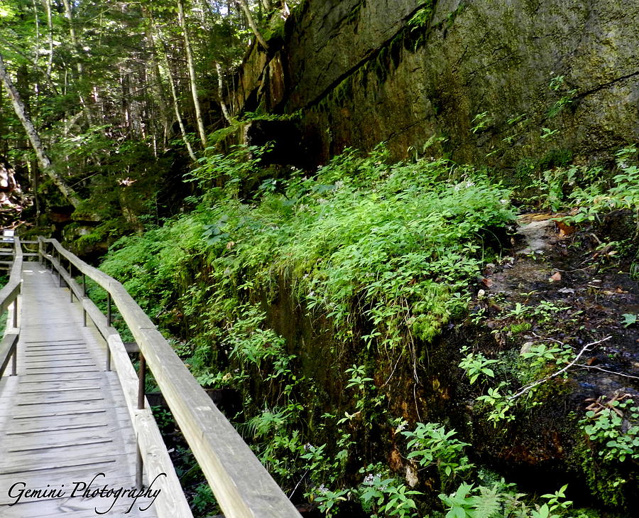 The Flume Gorge Photograph by Irene DeSousa - Fine Art America