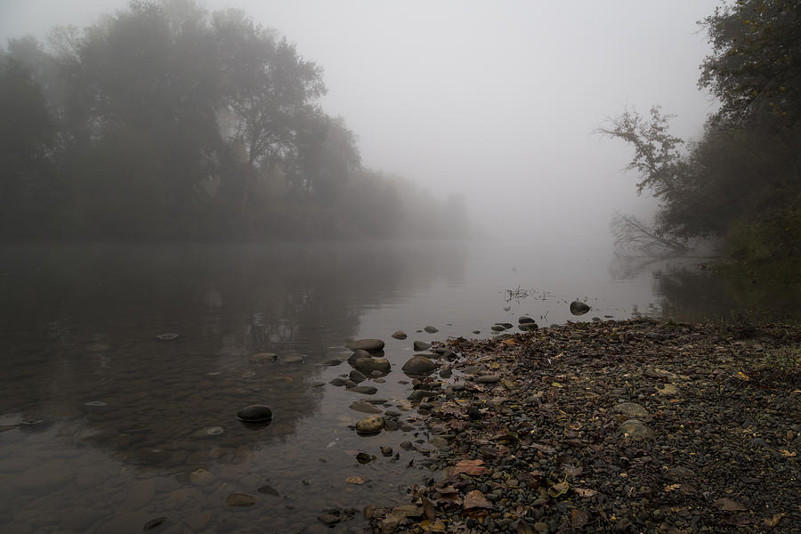 The Foggy American River #2 Photograph by Lee Harland