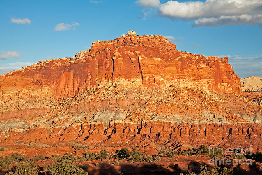 The Goosenecks Capitol Reef National Park #2 Photograph by Fred Stearns