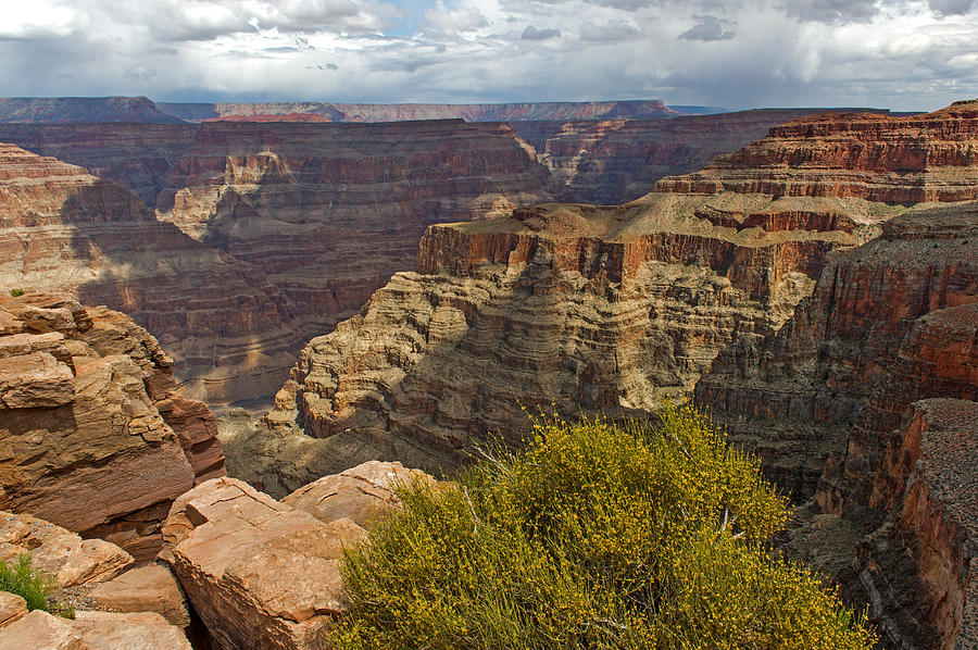 The Grand Canyon #2 Photograph by Willie Harper