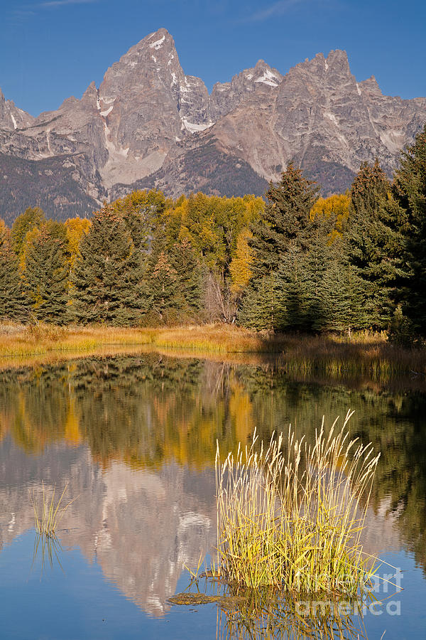 The Grand Tetons Schwabacher Landing Grand Teton National Park #2 Photograph by Fred Stearns