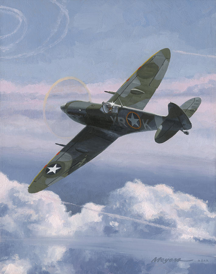 4th Fighter Group Painting - The High Country #1 by Wade Meyers