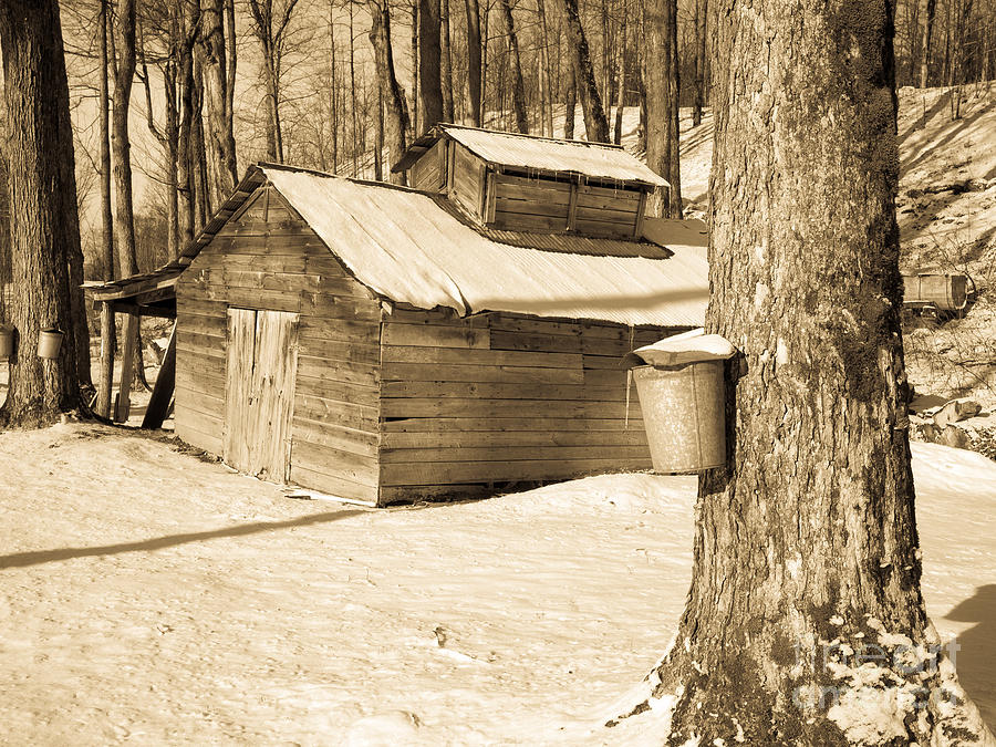 Vintage Photograph - The Old Sugar Shack #2 by Edward Fielding