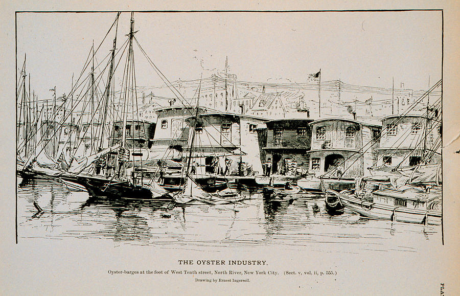 The Oyster Industry #2 Drawing by Brian Long