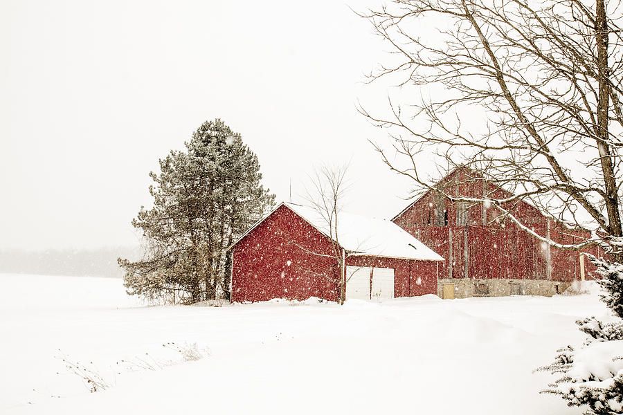 The red barn #2 Photograph by Nick Mares