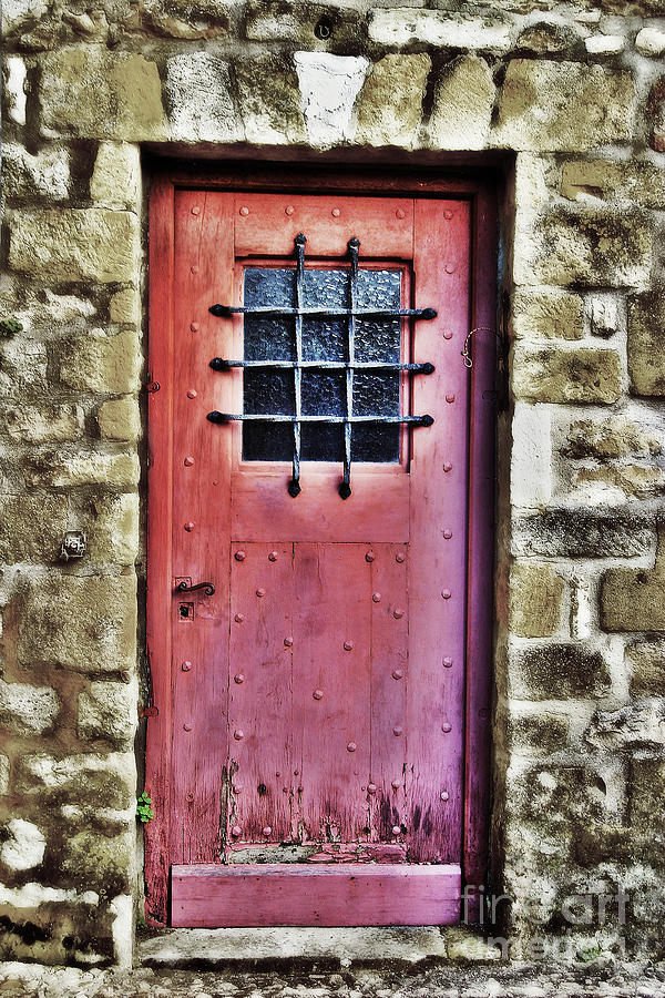 The Red Door #2 Photograph by Paul Topp