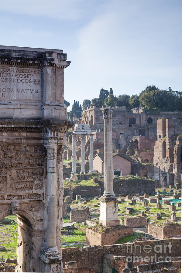 The roman forum Rome Italy #2 Photograph by Matteo Colombo
