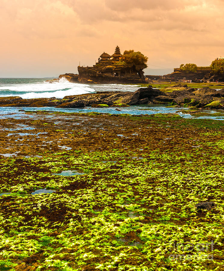 The Tanah Lot Temple - Bali - Indonesia #2 Photograph by Luciano Mortula
