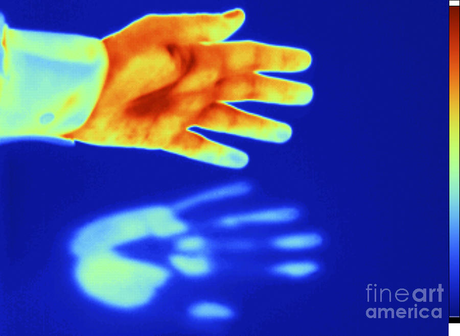 Thermogram Of A Thermal Shadow Photograph by GIPhotoStock
