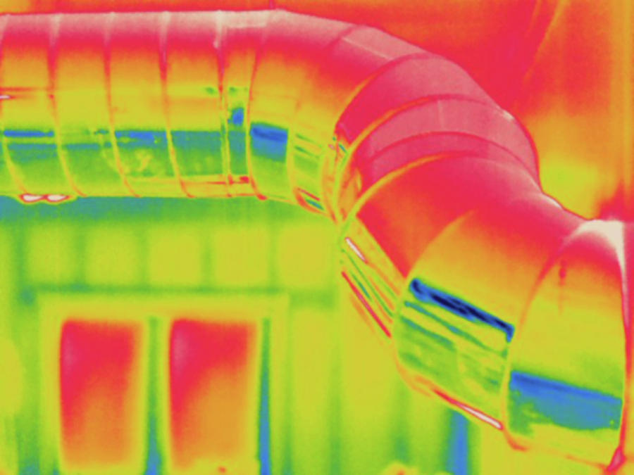 Thermogram #2 Photograph by Science Stock Photography/science Photo Library